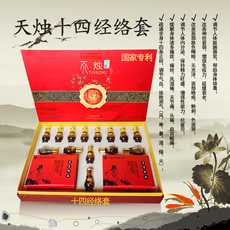 十四经络套